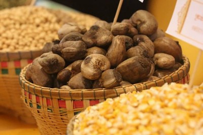 Nông sản Campuchia ồ ạt sang Việt Nam