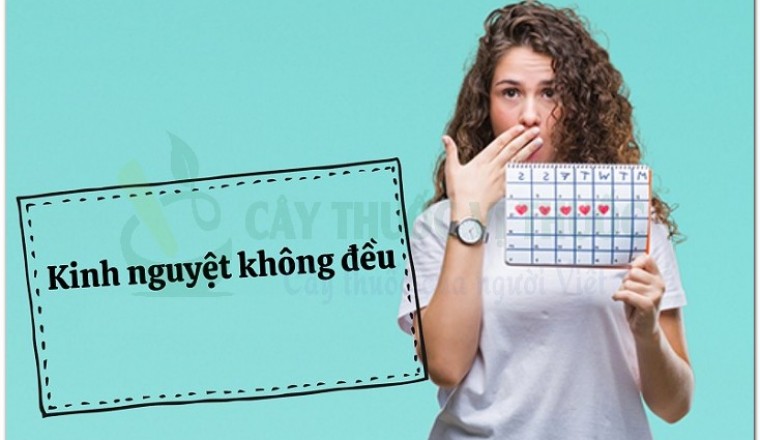 Những món ăn bài thuốc trị kinh nguyệt không đều hiệu quả