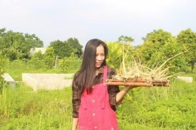 CEO Son Hằng: Sâm Bố Chính có đủ tiêu chí để vươn tầm quốc tế