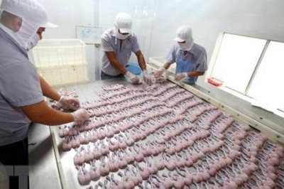 Phát hiện nhiều lô hàng nông, thủy sản Việt Nam vi phạm chất cấm của EU