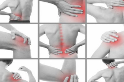 Những cây thuốc nam có tác dụng trị bệnh đau xương khớp