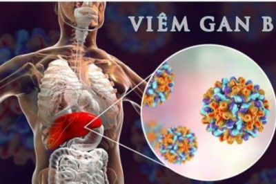 Vaccine mới ngừa viêm gan B ở người lớn