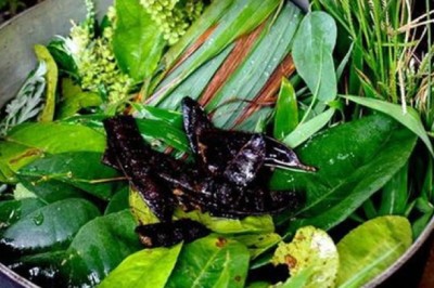 F0 xông hơi để diệt virus SARS-CoV-2: Bác sĩ chỉ ra cách làm rất sai lầm và nguy hiểm