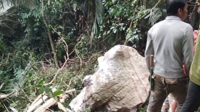 Vào rừng tìm mật ong, người đàn ông bị đá đè tử vong