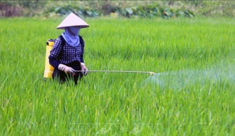 Thuốc bảo vệ thực vật yêu cầu quy chuẩn chất lượng gì ?