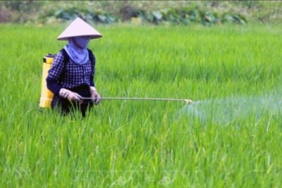 Thuốc bảo vệ thực vật yêu cầu quy chuẩn chất lượng gì ?