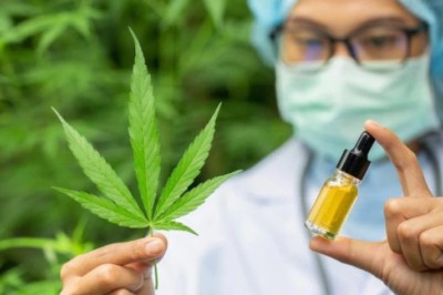 Cần sa tốt hay xấu - tranh cãi bất phân thắng bại: Câu trả lời bất ngờ từ nhà khoa học