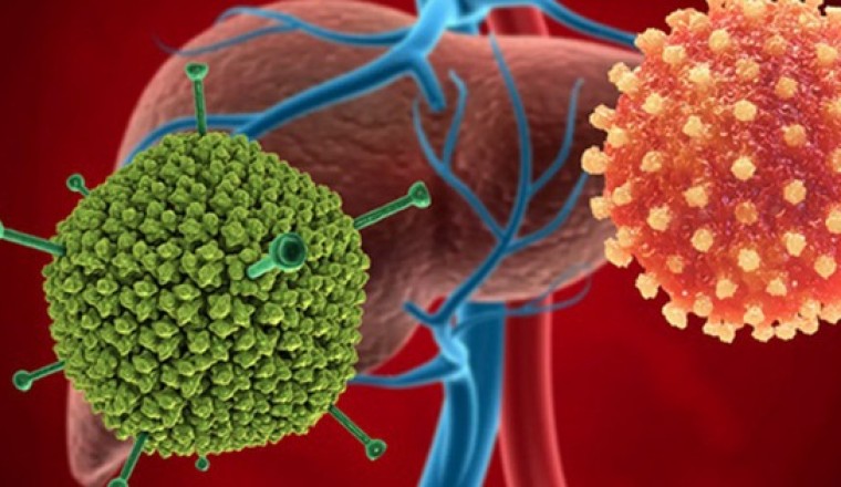Adenovirus là gì?