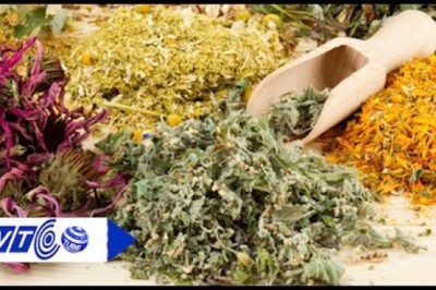 Chữa sỏi thận bằng thuốc nam an toàn, hết sỏi