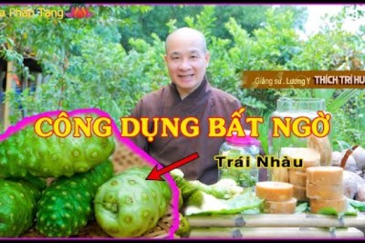 Bài thuốc Trị ĐAU THẮT LƯNG, NHỨC XƯƠNG KHỚP Đi Đứng Khớp kêu Lụp Cụp, Đau Nhức Lưng
