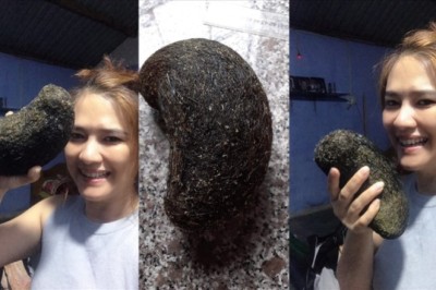 'Cát lợn, trư cát, trư sa cát lợn hay trứng vàng' được trả giá 500 triệu đồng, nhà khoa học nói 'không có giá trị'