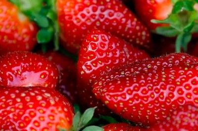 Mỹ, Canada bùng dịch viêm gan A từ dâu tây