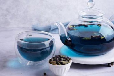 Công dụng tác dụng và cách dùng của trà hoa đậu biếc