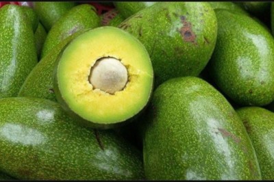 Ăn quả bơ tốt cho Tim Mạch