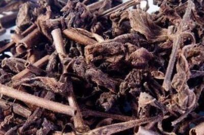 Nhân trần vị thuốc giải nhiệt mùa hè