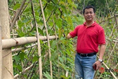 Cô gái trẻ mới ngoài 20 đầu đã hai thứ tóc, rất dễ nhầm lẫn loại dược liệu 'cứu tinh' cho tóc bạc