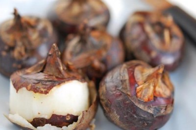 Củ mã thầy mát, bổ, cầm máu