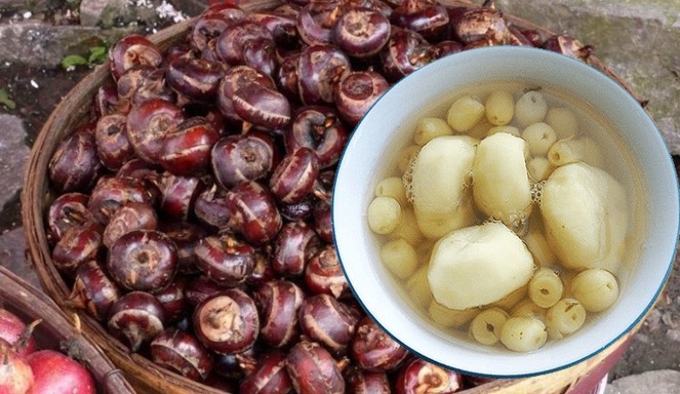 Vị thuốc trị bệnh Củ mã thầy, Thức ăn giải nhiệt, tiểu tiện khó khăn, khát nước, táo bón