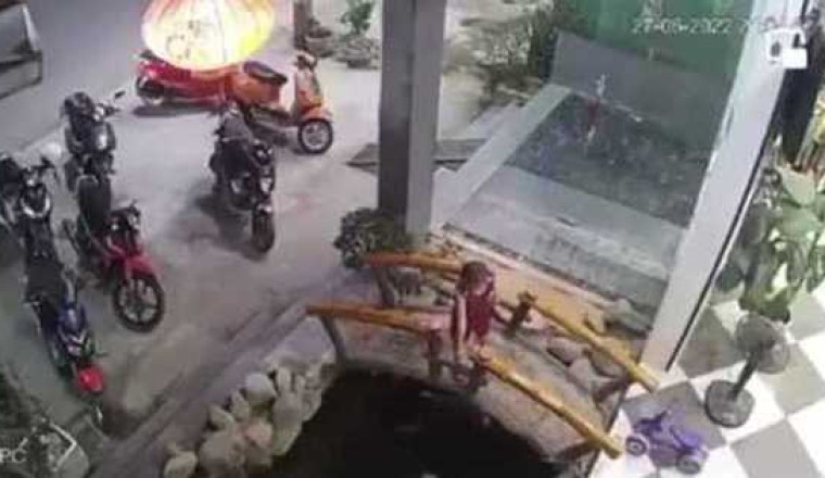 Đi uống cà phê với bố mẹ, cháu bé 4 tuổi rơi xuống bể cá tử vong