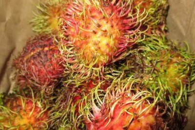 Lô hàng tương ớt, chôm chôm, thanh long của Việt Nam bị tiêu hủy ở châu Âu