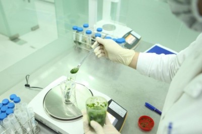 Đề xuất lập dự án xây dựng nhà máy dược liệu tại Định Hóa, Thái Nguyên