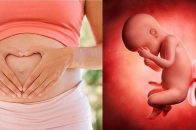 Những loại thảo mộc, trà thảo mộc bà bầu không nên dùng tránh gây dị tật bẩm sinh