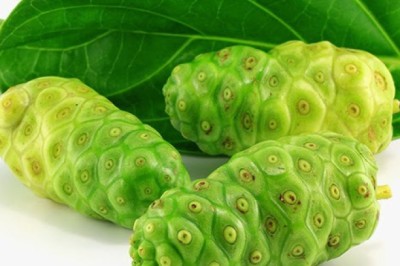 Công dụng tác dụng và bài thuốc chữa bệnh từ cây nhàu