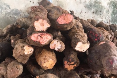 9 bài thuốc từ hà thủ ô bổ huyết, dưỡng huyết