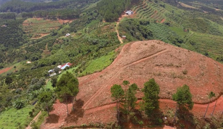 Bắt buộc công ty Địa ốc Phú Đông phải rà soát, điều chỉnh đề xuất dự án cây dược liệu