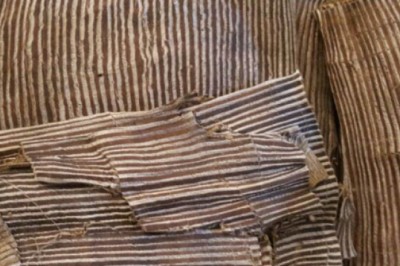 Cách dùng đỗ trọng trị tăng huyết áp