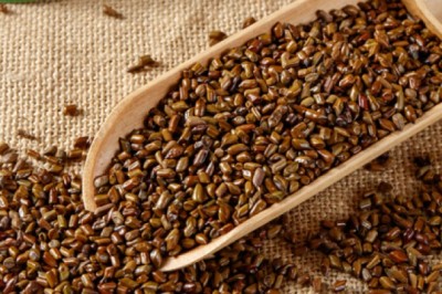 Bài thuốc chữa mỡ máu cao, tăng huyết áp, mất ngủ, giảm béo từ Hạt Muồng