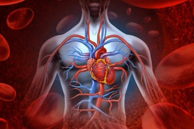 Đi tìm thần dược bên trong cơ thể (Năng lực sửa chữa phục hồi của cơ thể)