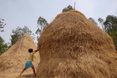 'Lý thuyết cọng rơm' và quy luật cuộc sống