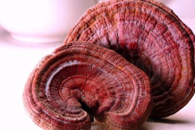 6 tác dụng của nấm linh chi với làm đẹp, chăm sóc da