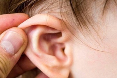 Bài thuốc đông y, bài thuốc nam điều trị viêm tai giữa