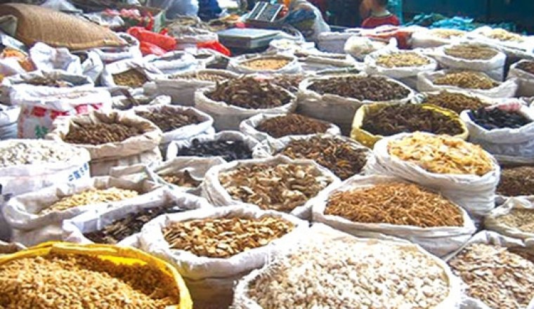 Hà Nội yêu cầu thu hồi triệt để 2 vị thuốc Đông y không đạt chất lượng (Hai vị thuốc Phòng Phong, Ngưu Tất)