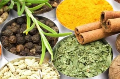 Những loại Thảo dược dùng chữa tiểu đường