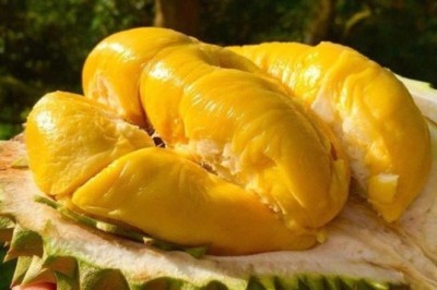 Vị sao ăn Sầu riêng rất kị rượu, cà phê