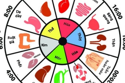 Y học cổ truyền Trung Quốc chỉ ra lý do bạn thức giấc giữa đêm