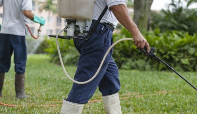 Thuốc trừ sâu có thể làm tăng nguy cơ ung thư tuyến giáp