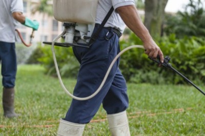 Thuốc trừ sâu có thể làm tăng nguy cơ ung thư tuyến giáp