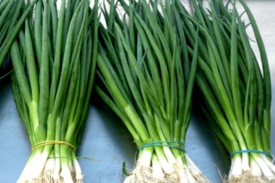 Cây hành, hành lá, hành hoa, đại thông, thông bạch, tứ quý thông, hom búa
