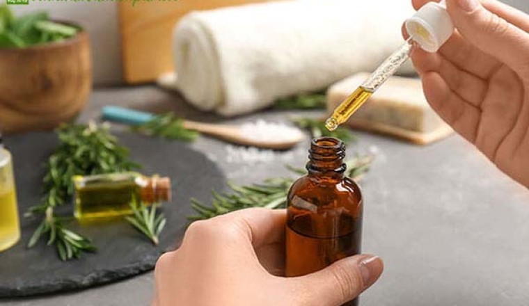Tình dầu từ cây thuốc nam, cây thảo dược rất tốt cho người bệnh tiểu đường