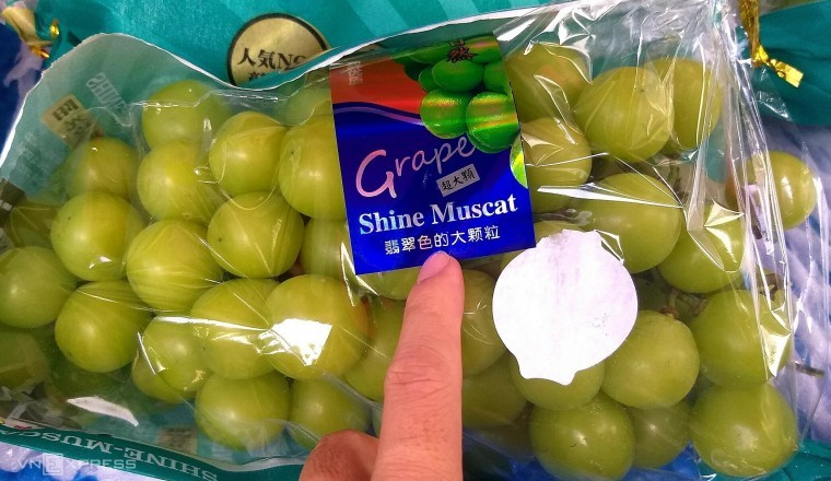 Nho mẫu đơn (Vitis vinifera 'Shine Muscat')