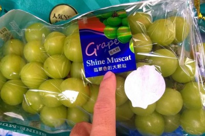 Nho mẫu đơn (Vitis vinifera 'Shine Muscat')