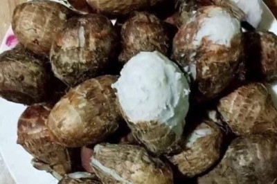 Công dụng của Khoai Sọ