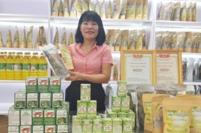 Cô gái bỏ việc nhà nước để gây dựng thương hiệu dược liệu Cự Nẫm