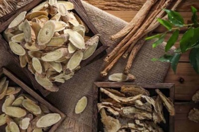 Đẳng sâm cùng Hoàng kỳ