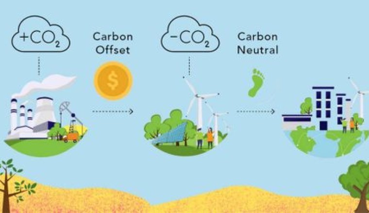 Cung cầu trên thị trường tín chỉ carbon