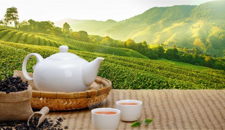 Uống trà giúp giảm nguy cơ mắc bệnh tiểu đường